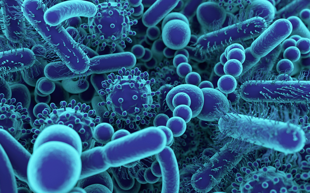 Viruses, Bacteria and Fungi: What’s the Difference? teaser image