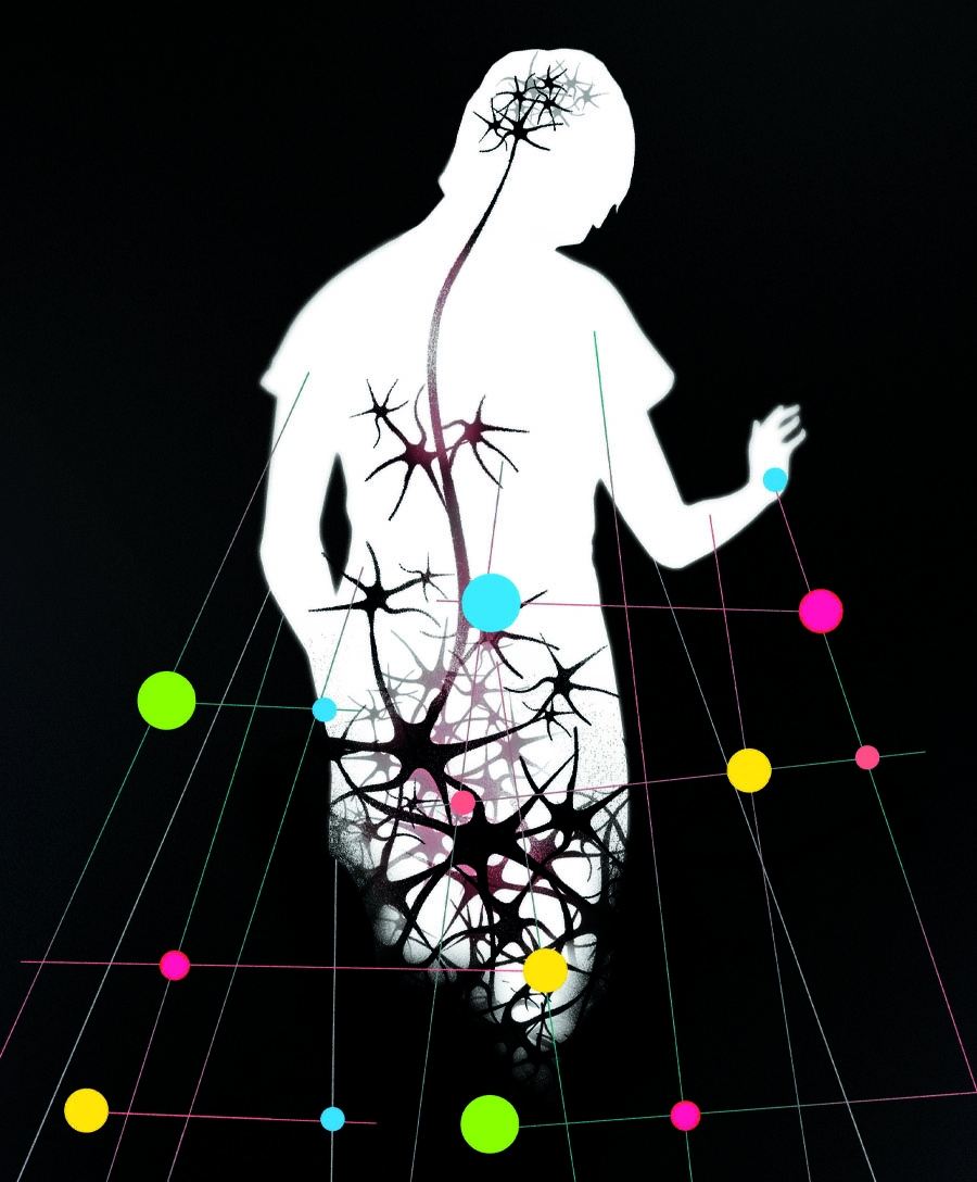 Illustration of a human and nervous system